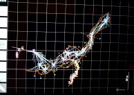 Картировка-Хоризонтален план. Снимка: Константин Стоичков ПК "Хеликтит" София. Картировка-Хоризонтален план. Снимка: Константин Стоичков ПК "Хеликтит" София.